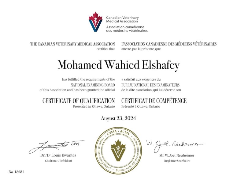NEB Certificate of qualification